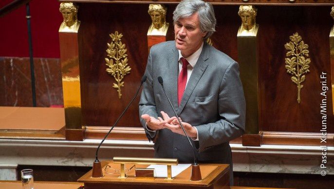 La loi d’avenir pour l’agriculture, l’alimentation et la forêt a été définitivement adoptée jeudi 11 septembre par l’Assemblée Nationale.