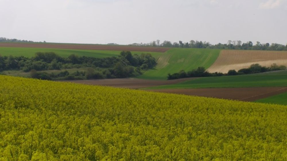 La diversification des assolements déjà pratiquée pour toucher les aides