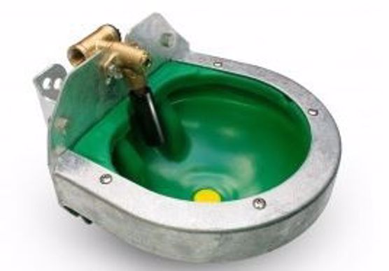 Bol F25