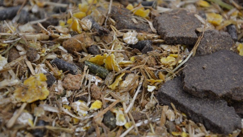 2.260 g de Gmq sur des génisses charolaises nourries au mash fibreux Lagrost