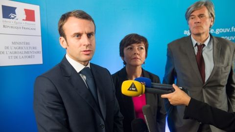 Derrière la pression sur les prix, la question de l’organisation des filières