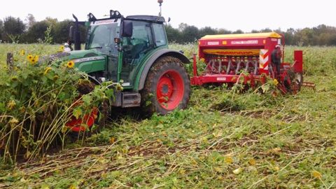 Les couverts d’1,8 m de haut n’impressionnent pas Denis Laizé