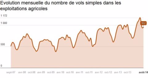 En septembre, nouveau fléchissement du nombre de vols dans les fermes