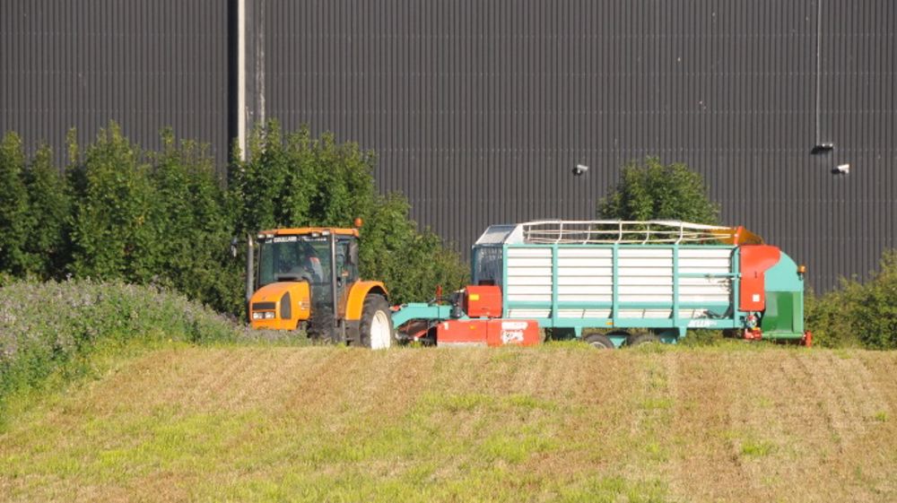 L'affouragement en vert pour les petites et moyennes exploitations