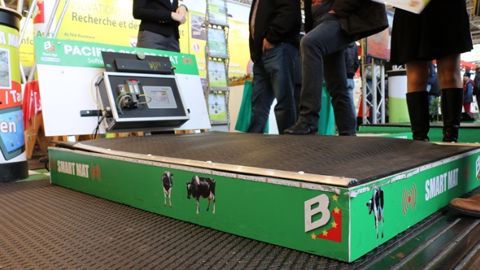 Quand les matelas des logettes communiquent avec les vaches