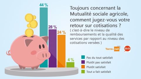 Seulement 28 % des agriculteurs sont satisfaits des services Msa Seulement 28 % des agriculteurs sont satisfaits des services Msa