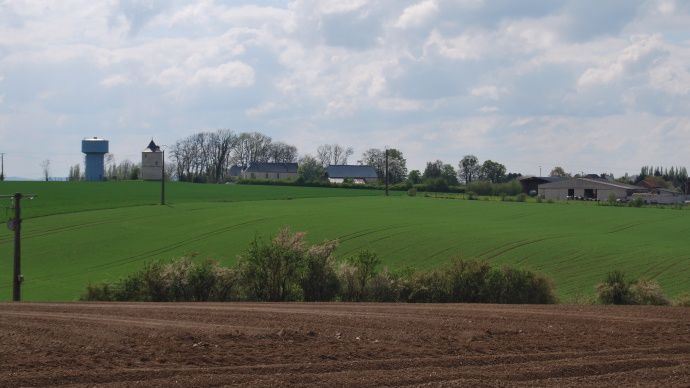 Paysage rural et agricole