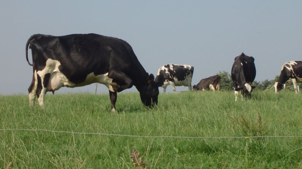 En hausse de 27,6 %, les revenus des producteurs de lait sont en tête de peloton