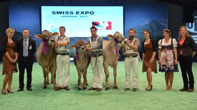 Les championnes Brune Suisse de Lausanne 2015.