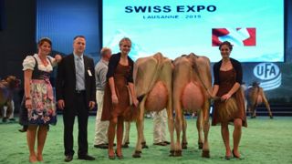 Palmarès du concours Brown Swiss Palmarès du concours Brown Swiss