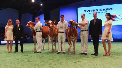 Palmarès du concours Red holstein Palmarès du concours Red holstein