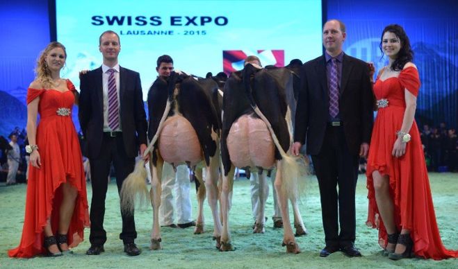 Wilt Excellence (Fever x Sam), au Gace Wilt du Bas-Rhin, meilleure mamelle espoir.