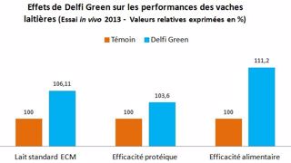 Delfi Green réduit la teneur en urée du lait au pâturage Delfi Green réduit la teneur en urée du lait au pâturage