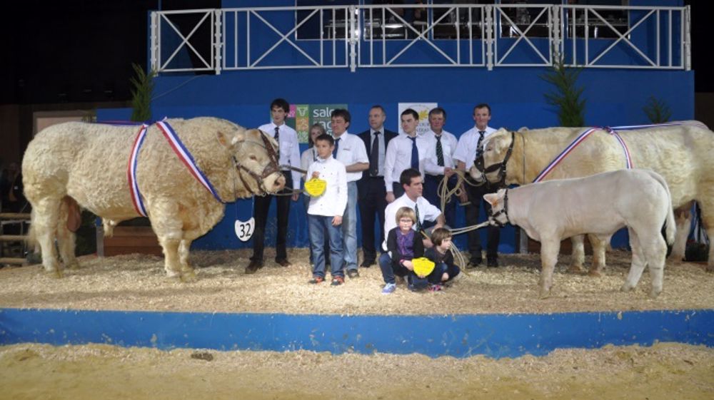 Liste des 41 Charolais sélectionnés pour Paris