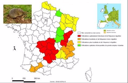 La lutte intégrée pour que la prairie ne soit pas le garde-manger du rat taupier