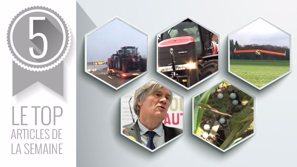 Les 5 articles les plus lus de la semaine sur Terre-net