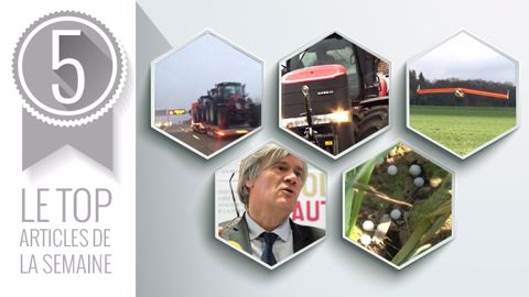 Les 5 articles les plus lus de la semaine sur Terre-net