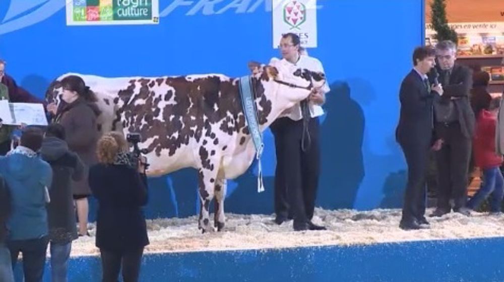 Bière à l'Earl Arondel remporte le titre de grande championne Bière à l'Earl Arondel remporte le titre de grande championne