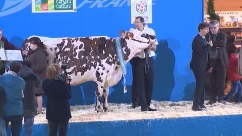 Bière à l'Earl Arondel remporte le titre de grande championne Bière à l'Earl Arondel remporte le titre de grande championne