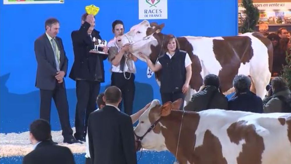 Déferlante et Cat Haida, championnes montbéliardes à Paris