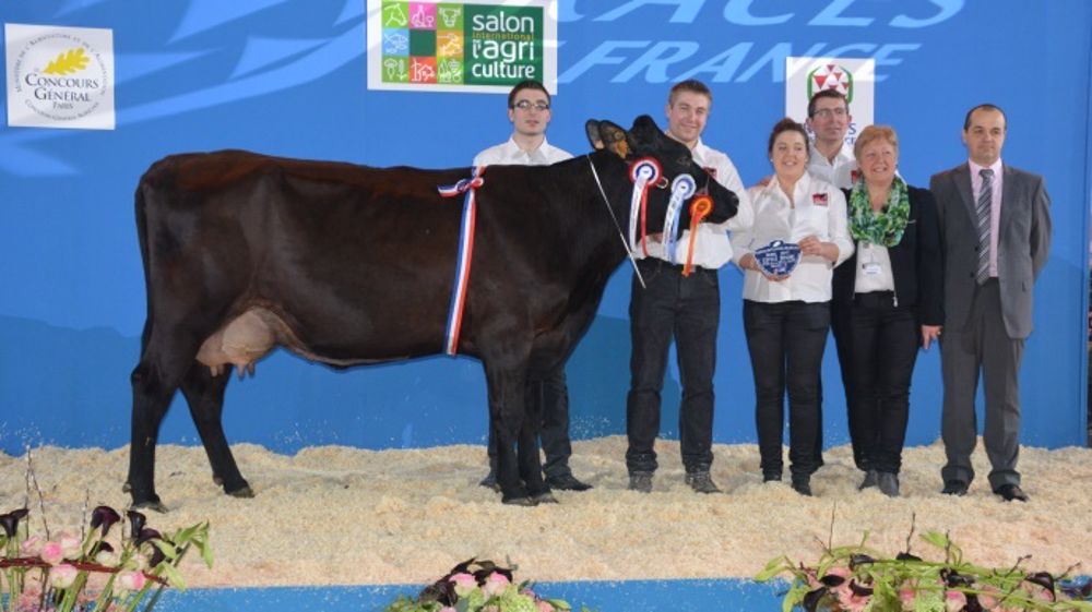 Gaccajou de l'Earl du Clocher, grande championne de la race rouge flamande