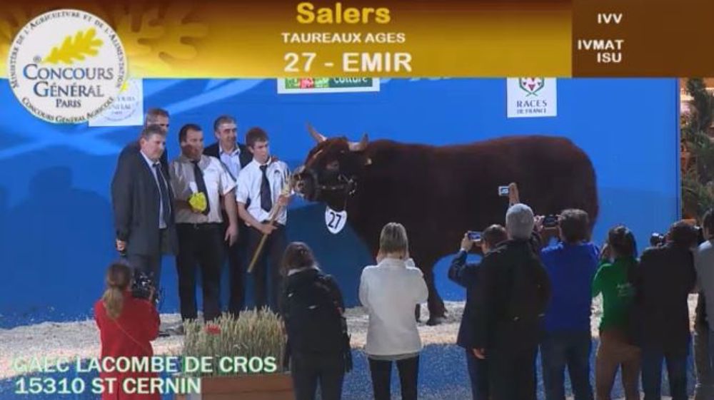 Emir et Eugénie sacrés champions à Paris