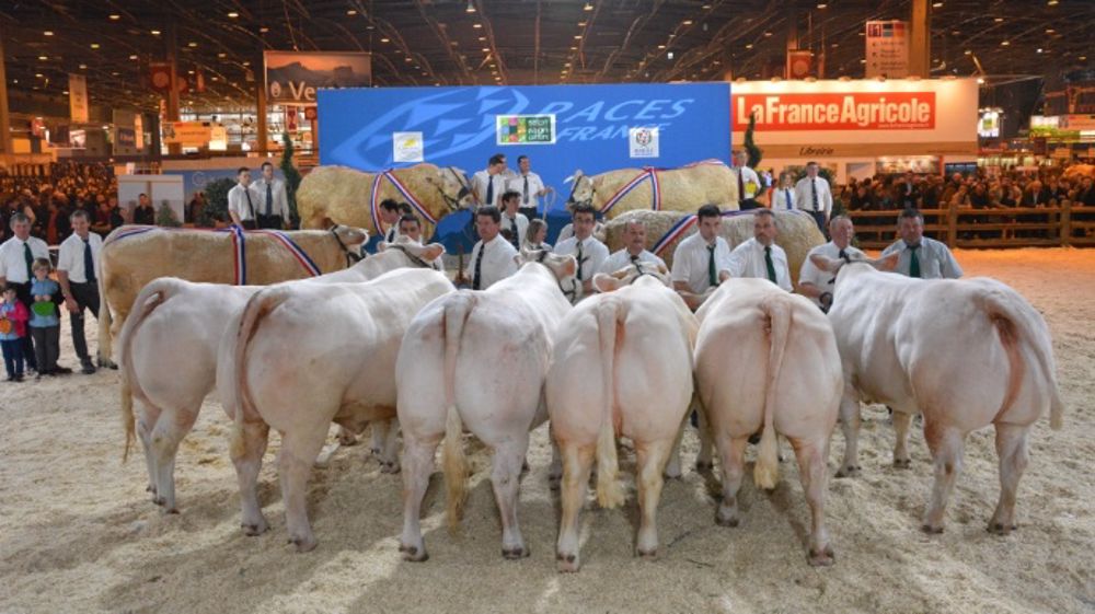 Delphine et Grenadier sur le podium derrière les champions de l'an dernier