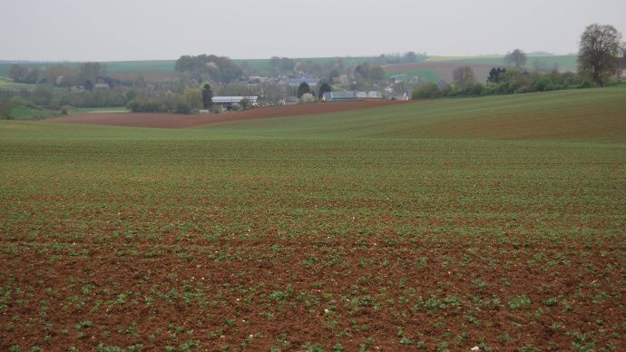 Exploitation agricole dans village