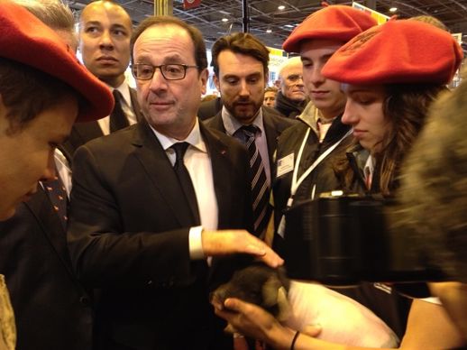 François Hollande au salon de l'agriculture