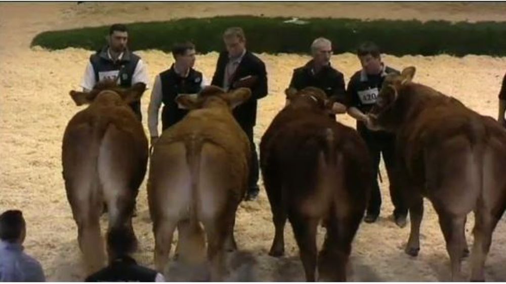 Palmarès de l'Open Show Euro Limousine