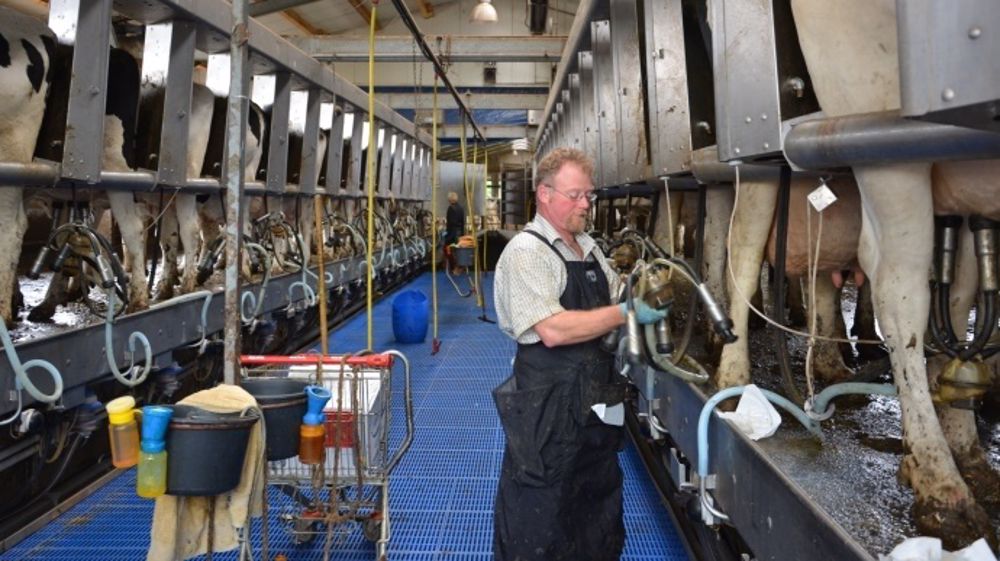 Le prix du lait « inférieur de 61 €/t aux coûts de production » selon l’Emb