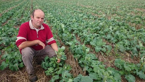Philippe Pastoureau : « L’écosystème forestier comme modèle d’inspiration » Philippe Pastoureau : « L’écosystème forestier comme modèle d’inspiration »