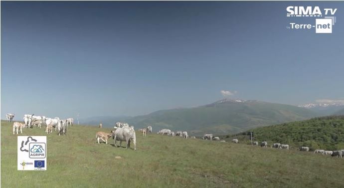 Projet E-pasto