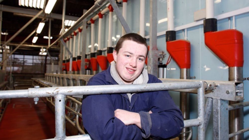 Hankamp promet une traite rapide et sereine avec le PipeFeeder