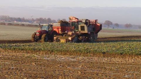 Perfbet compare les matériels, évalue le coût du chantier d'arrachage des betteraves et aide à sa planification. (©Terre-net Média)