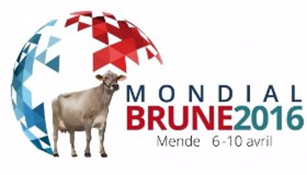 Mondial Brune 2016 : ça se passe aussi sur le web !