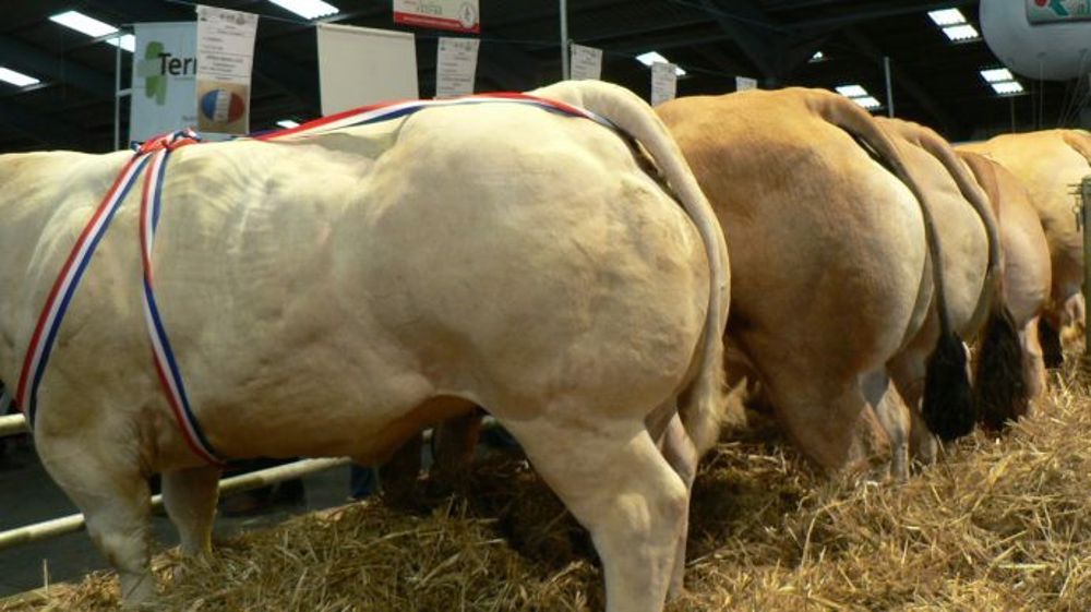 Baraqueville est toujours au sommet des ventes Baraqueville est toujours au sommet des ventes