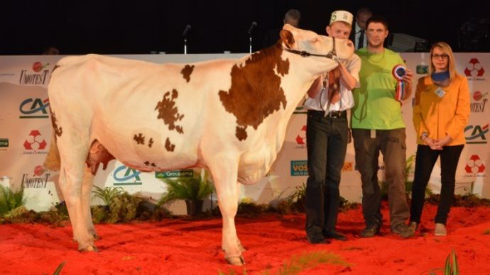 Halida (Vigor JB) Gaec de Marvalllin (42)