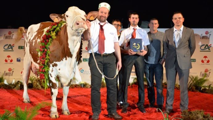 Championne jeune : Finesse VR (Micmac x Lecuyer) au Gaec de Vivieroche (70).