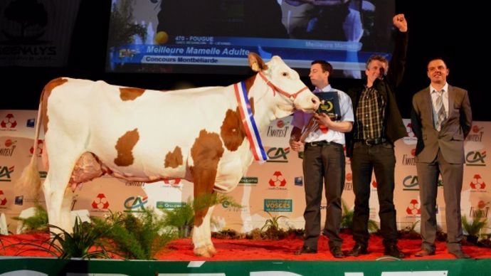 Fougue (Urbaniste x Micmac), meilleure mamelle