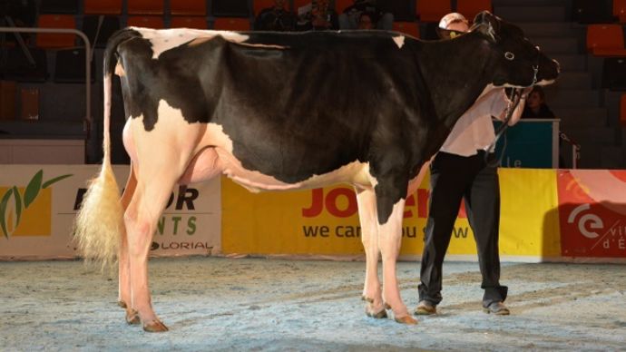 Coco Chanel (Atwood x MR Sam) à l'Earl de la Passion et S.Toledo (45)