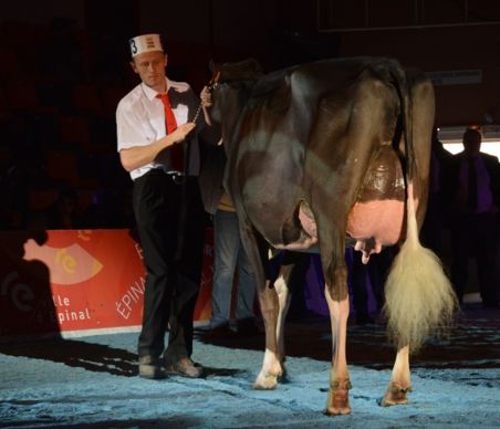 Wilt Elia (Alexander x Jasper Wil) au Gaec Wilt (67)