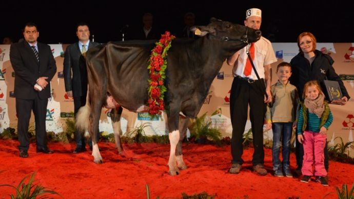Wilt Elia (Alexander x Jasper Wil) au Gaec Wilt (67) 
