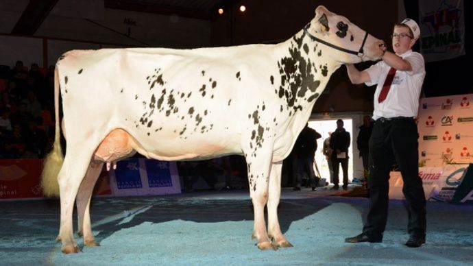 FELICITEE (Shottle x Nactif) à M THIEBAUT OLIVIER    57