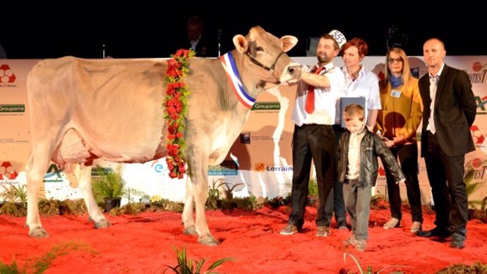 En 8ème lactation : EDELWEISS (Pedigree) GAEC FUNCKEN (52)