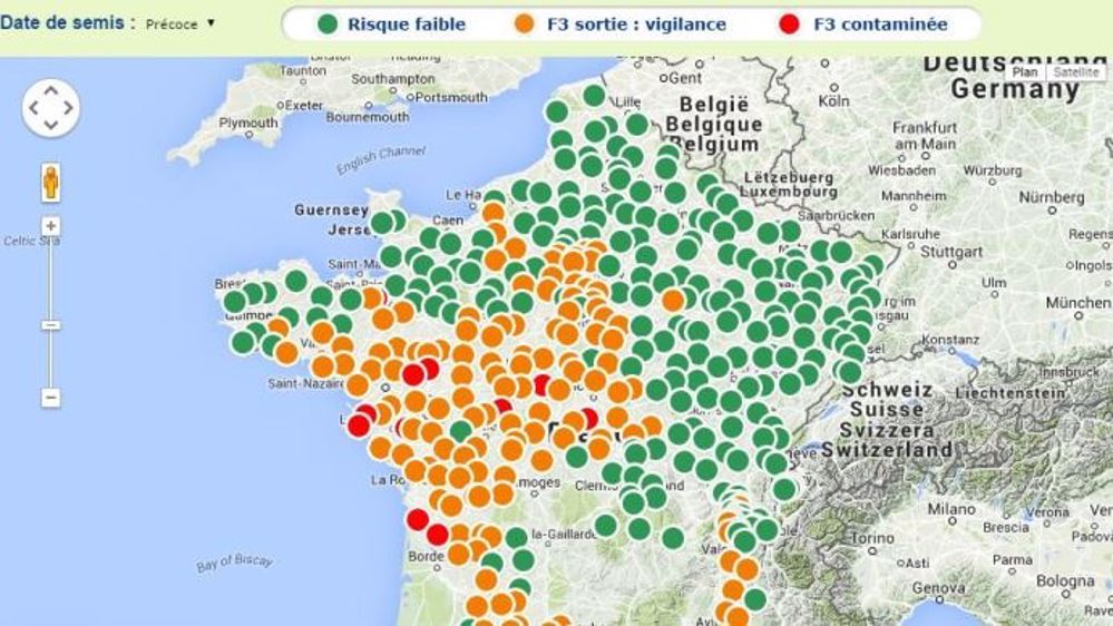 Carte du niveau de risque septoriose. (©Syngenta)