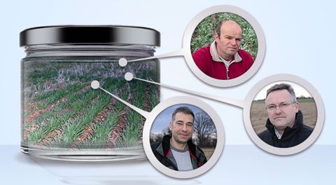 Trois agriculteurs engagés à suivre les principes de l'agriculture de conservation. (©Terre-net Média) 
