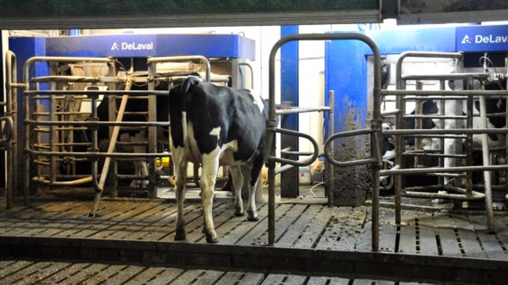 La fosse caillebotis devant le robot de traite facilite l'entretien de l'aire d'attente. (©Terre-net Média)