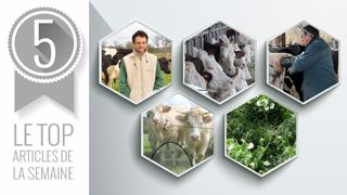 Le top articles de la semaine sur Web-agri. (©Terre-net Média) Le top articles de la semaine sur Web-agri. (©Terre-net Média)