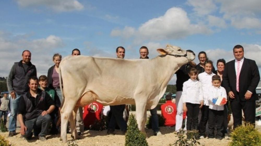Galante GP, fille de Jongleur, Grande championne (©BGS)